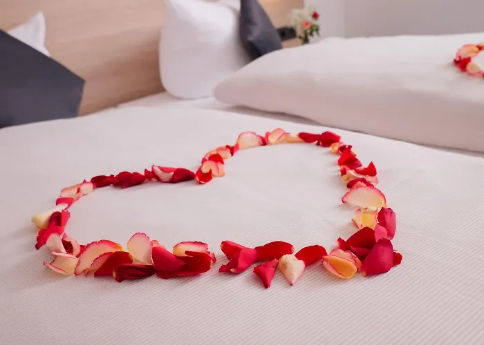 Otel Western Comfort Business Duesseldorf-neuss 4*